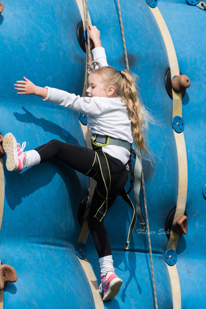 Bild 320 - Vogelschiessen